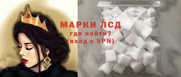 гашик Новоузенск
