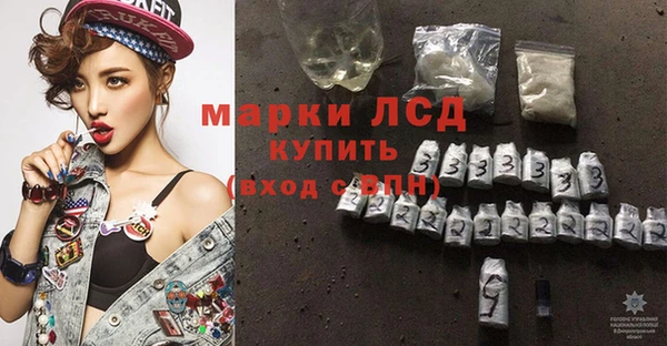 мяу мяу мука Покачи