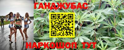дмт Ставрополь