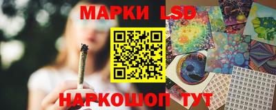 дмт Ставрополь