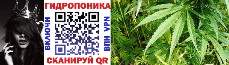 Шишки марихуана конопля Прокопьевск